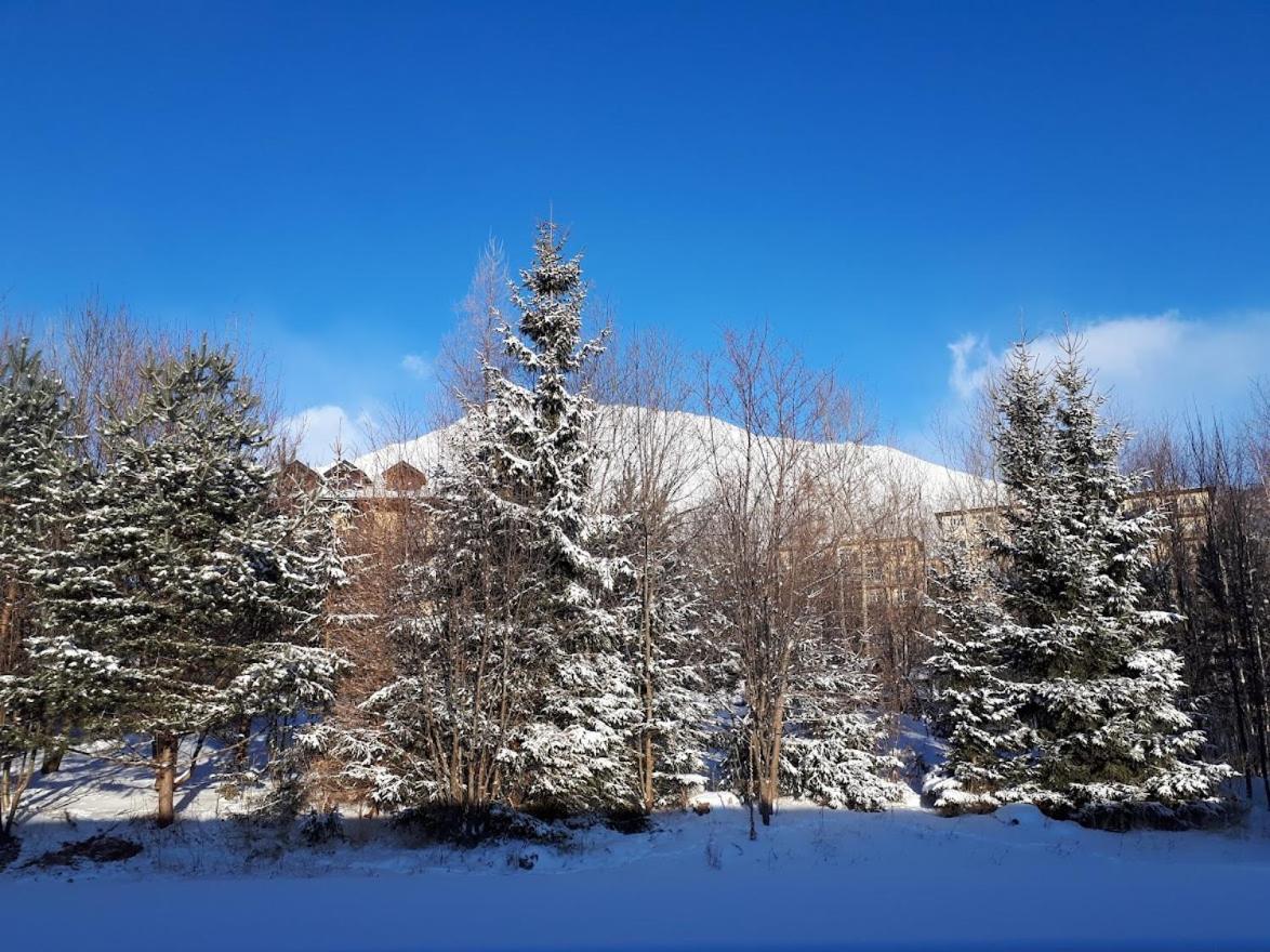Apartman Mariana Vysoké Tatry Εξωτερικό φωτογραφία